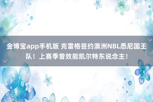 金博宝app手机版 克雷格签约澳洲NBL悉尼国王队！上赛季曾效能凯尔特东说念主！