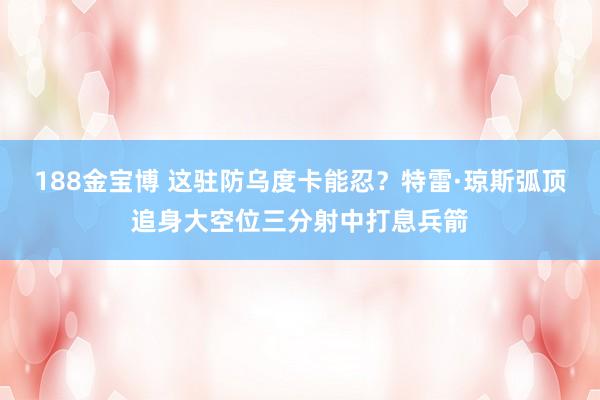 188金宝博 这驻防乌度卡能忍？特雷·琼斯弧顶追身大空位三分射中打息兵箭