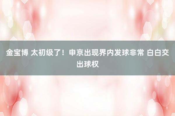金宝博 太初级了！申京出现界内发球非常 白白交出球权