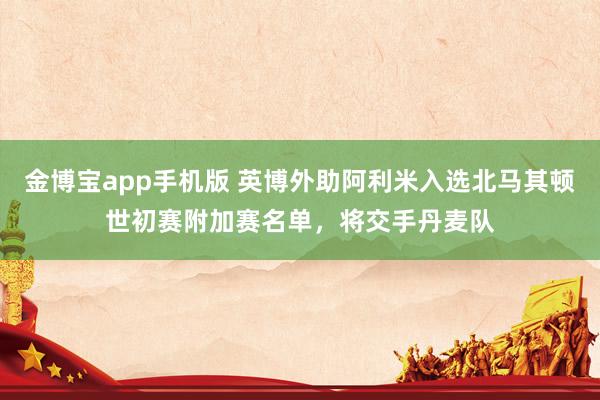 金博宝app手机版 英博外助阿利米入选北马其顿世初赛附加赛名单，将交手丹麦队
