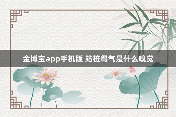 金博宝app手机版 站桩得气是什么嗅觉