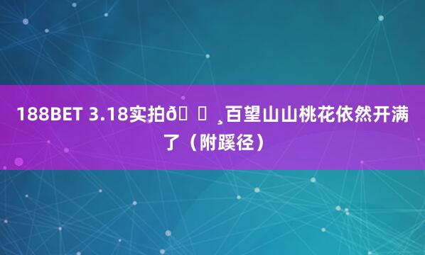 188BET 3.18实拍🌸百望山山桃花依然开满了（附蹊径）