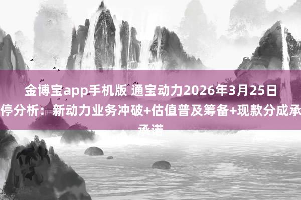 金博宝app手机版 通宝动力2026年3月25日涨停分析：新动力业务冲破+估值普及筹备+现款分成承诺