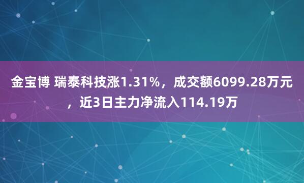 金宝博 瑞泰科技涨1.31%，成交额6099.28万元，近3日主力净流入114.19万