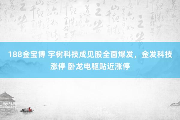 188金宝博 宇树科技成见股全面爆发，金发科技涨停 卧龙电驱贴近涨停