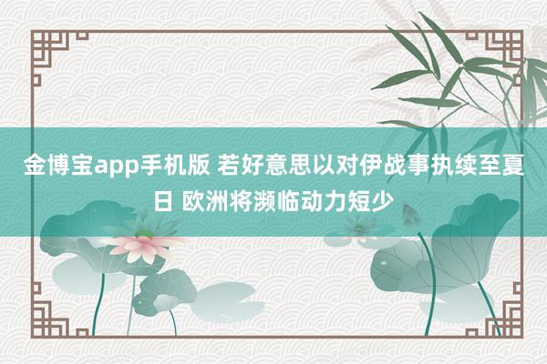 金博宝app手机版 若好意思以对伊战事执续至夏日 欧洲将濒临动力短少