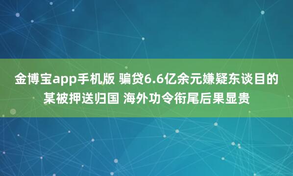 金博宝app手机版 骗贷6.6亿余元嫌疑东谈目的某被押送归国 海外功令衔尾后果显贵