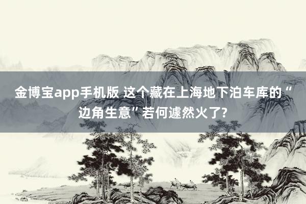 金博宝app手机版 这个藏在上海地下泊车库的“边角生意”若何遽然火了?