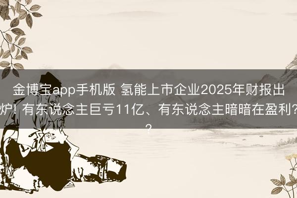 金博宝app手机版 氢能上市企业2025年财报出炉! 有东说念主巨亏11亿、有东说念主暗暗在盈利?