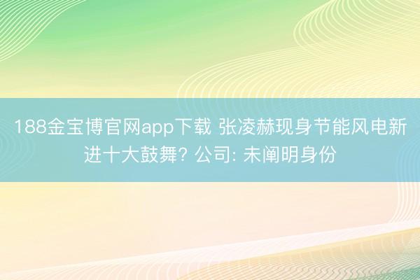 188金宝博官网app下载 张凌赫现身节能风电新进十大鼓舞? 公司: 未阐明身份
