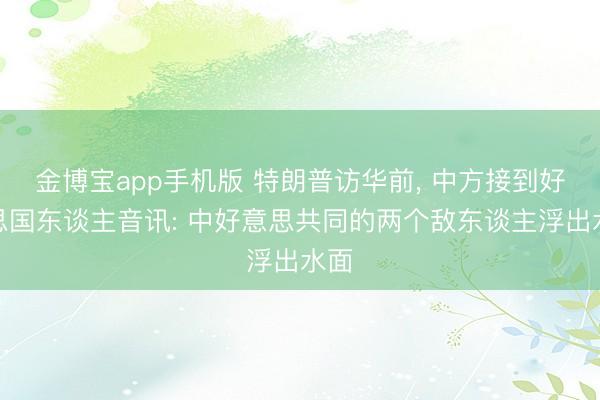 金博宝app手机版 特朗普访华前, 中方接到好意思国东谈主音讯: 中好意思共同的两个敌东谈主浮出水面