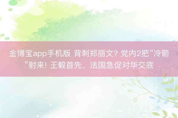 金博宝app手机版 背刺郑丽文? 党内2把“冷箭”射来! 王毅首先、法国急促对华交底