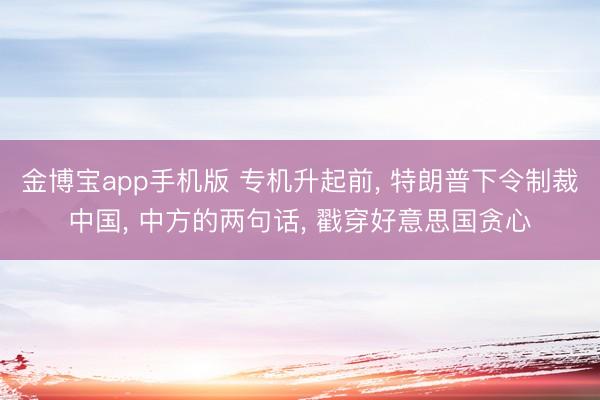 金博宝app手机版 专机升起前, 特朗普下令制裁中国, 中方的两句话, 戳穿好意思国贪心