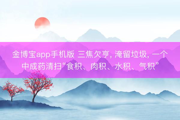 金博宝app手机版 三焦欠亨， 淹留垃圾， 一个中成药清扫“食积、肉积、水积、气积”