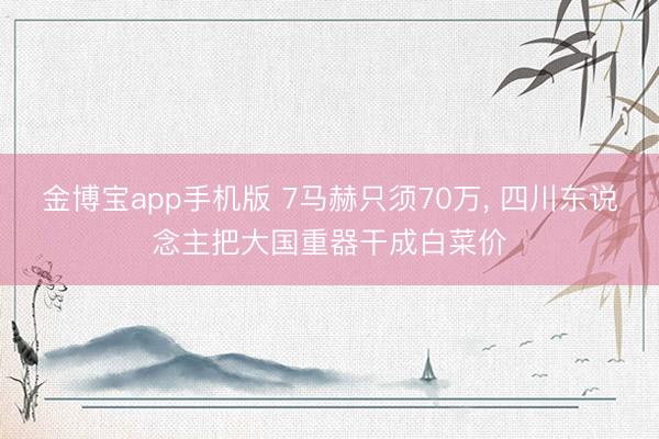 金博宝app手机版 7马赫只须70万， 四川东说念主把大国重器干成白菜价