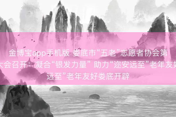 金博宝app手机版 娄底市“五老”志愿者协会第一次会员大会召开：凝合“银发力量” 助力“迩安远至”老年友好娄底开辟
