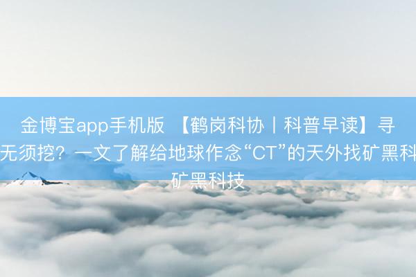 金博宝app手机版 【鹤岗科协丨科普早读】寻宝无须挖?一文了解给地球作念“CT”的天外找矿黑科技