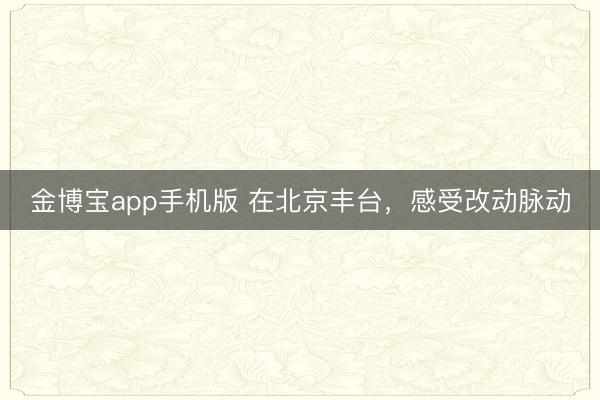 金博宝app手机版 在北京丰台,感受改动脉动