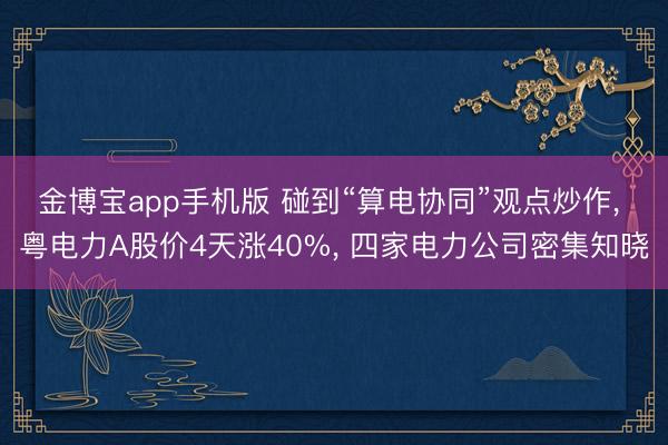 金博宝app手机版 碰到“算电协同”观点炒作, 粤电力A股价4天涨40%, 四家电力公司密集知晓