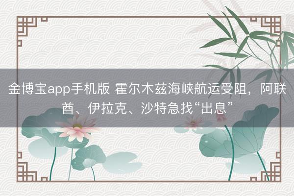 金博宝app手机版 霍尔木兹海峡航运受阻，阿联酋、伊拉克、沙特急找“出息”