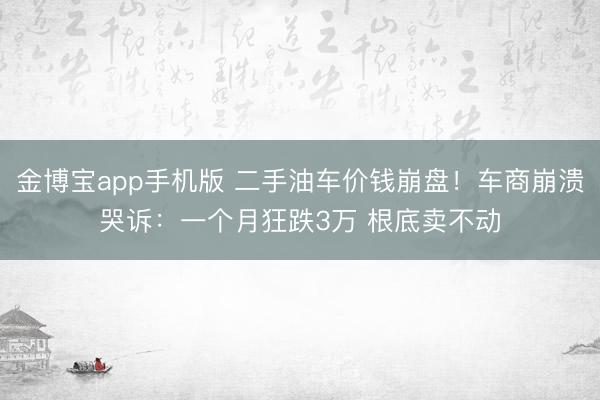 金博宝app手机版 二手油车价钱崩盘!车商崩溃哭诉:一个月狂跌3万 根底卖不动
