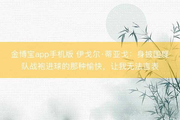 金博宝app手机版 伊戈尔·蒂亚戈:身披国度队战袍进球的那种愉快,让我无法言表