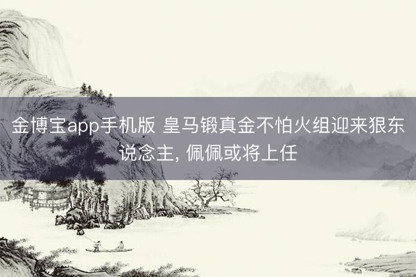 金博宝app手机版 皇马锻真金不怕火组迎来狠东说念主, 佩佩或将上任