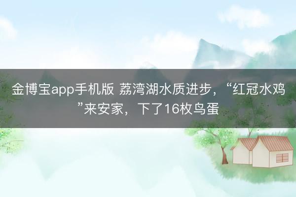 金博宝app手机版 荔湾湖水质进步，“红冠水鸡”来安家，下了16枚鸟蛋