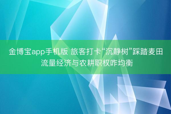 金博宝app手机版 旅客打卡“沉静树”踩踏麦田 流量经济与农耕职权咋均衡