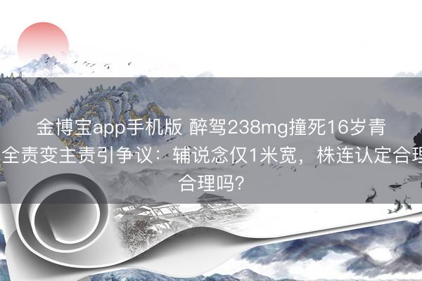 金博宝app手机版 醉驾238mg撞死16岁青娥,全责变主责引争议:辅说念仅1米宽,株连认定合理吗?